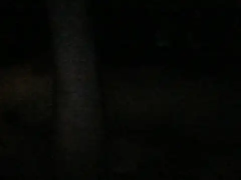 Snapshot of Amalgh6 chatting on October 31, 2025, 6:04 pm Amalgh6 online show from October 31, 2025, 6:04 pm