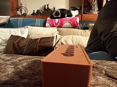 coolkasal online show from April 17, 2026, 7:38 pm