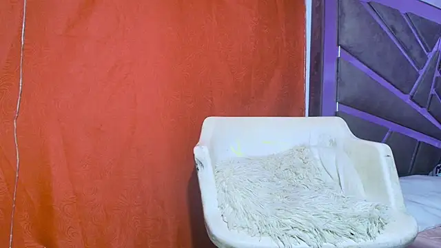 Snapshot of roxana_collins chatting on September 21, 2025, 9:25 am roxana collins online show from September 21, 2025, 9:25 am