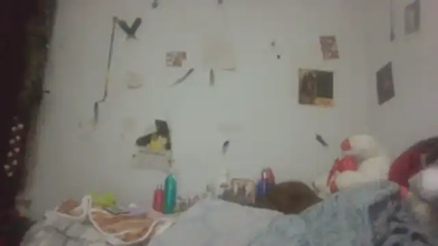 paradisejas online show from April 5, 2026, 10:33 am