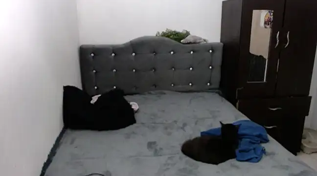 Snapshot of xx_nath_xx chatting on December 6, 2024, 2:40 am xx nath xx online show from December 6, 2024, 2:40 am