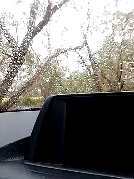 stiffandlubedxh online show from October 21, 2025, 9:03 pm