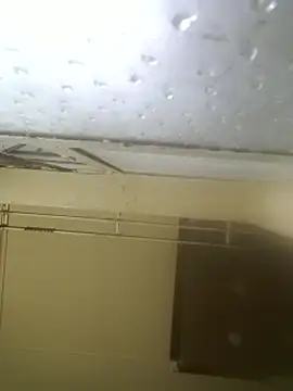 AddictiveAssCurves online show from March 5, 2026, 7:27 am