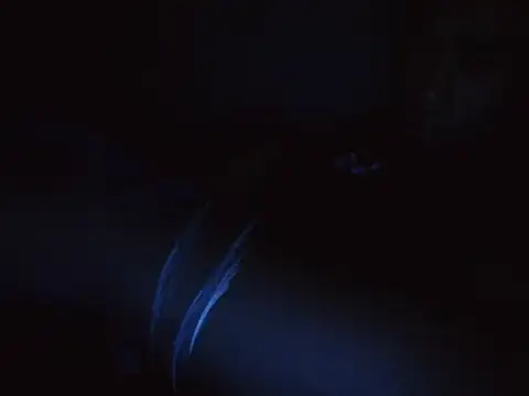 Snapshot of Dillon455669 chatting on October 31, 2025, 10:27 pm Dillon455669 online show from October 31, 2025, 10:27 pm