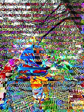 Sam Sara online show from September 18, 2025, 5:49 pm