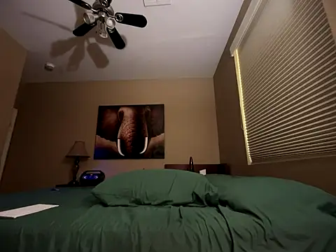 Snapshot of Bwcjoshbanks chatting on November 11, 2025, 6:25 pm Bwcjoshbanks online show from November 11, 2025, 6:25 pm