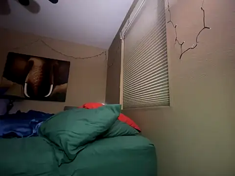 Snapshot of Bwcjoshbanks chatting on November 28, 2025, 6:24 am Bwcjoshbanks online show from November 28, 2025, 6:24 am