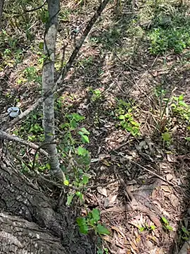 Yurt000 online show from September 10, 2025, 5:28 am