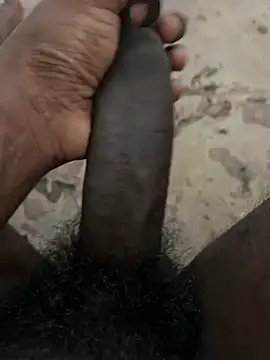 Yurt000 online show from January 29, 2025, 9:44 am