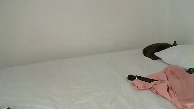 salome  milf online show from February 16, 2025, 12:30 am