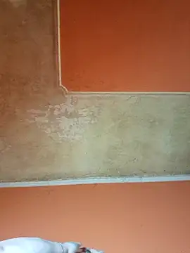 ducicsajsziii online show from April 11, 2026, 8:29 am