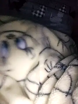 bruna safadinhaa online show from February 17, 2025, 9:56 am