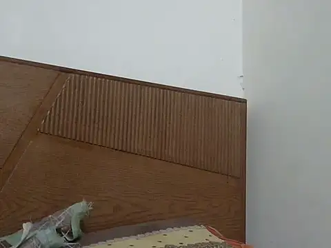 shekira99 online show from November 12, 2025, 3:05 pm