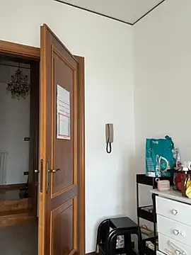 Snapshot of petrouchkaaa_ chatting on February 20, 2026, 9:00 am petrouchkaaa online show from February 20, 2026, 9:00 am