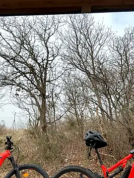 Snapshot of petrouchkaaa_ chatting on March 2, 2026, 9:38 am petrouchkaaa online show from March 2, 2026, 9:38 am