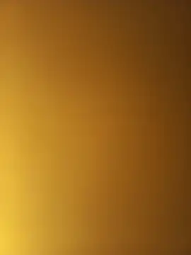 ALLDOMX online show from April 17, 2026, 4:21 pm