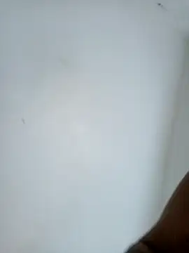 casal7722 online show from February 10, 2026, 3:00 pm