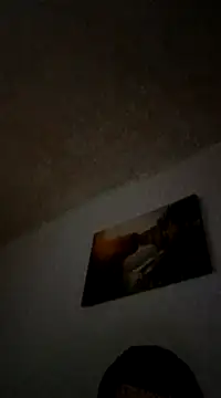 hornny1995 online show from January 15, 2025, 5:15 pm