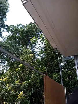 Hotestlove online show from November 23, 2025, 11:59 pm