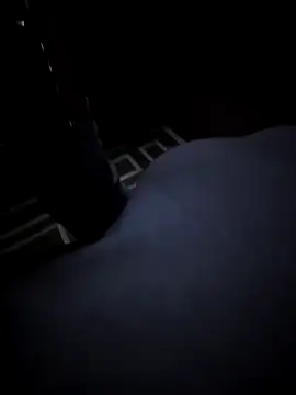 Southern Bella online show from November 20, 2025, 8:04 am