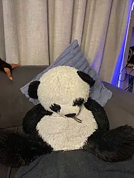 YellowHoneyDip online show from February 19, 2026, 5:26 am