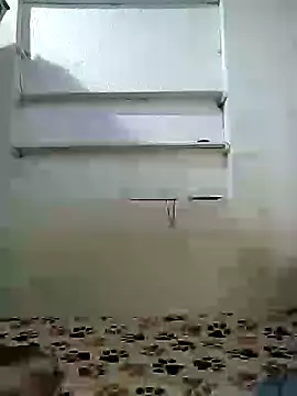 Cameron puppy online show from April 19, 2026, 11:22 am