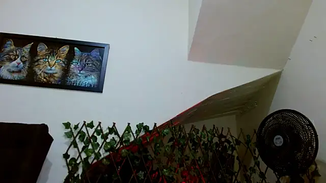 Snapshot of lady_scarlettt chatting on February 23, 2025, 4:39 am lady scarlettt online show from February 23, 2025, 4:39 am