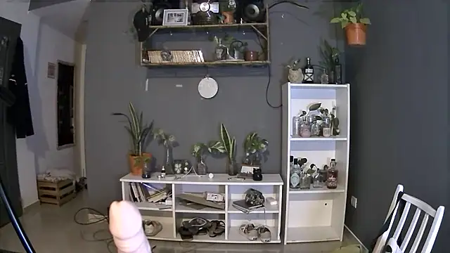 Snapshot of stupid_babybird chatting on March 4, 2025, 1:23 am stupid babybird online show from March 4, 2025, 1:23 am