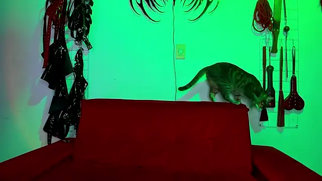 irregular fetish  online show from February 19, 2026, 7:00 pm