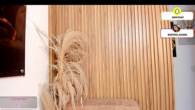 sofhiaa adaams online show from February 22, 2026, 5:14 pm