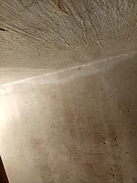 Snapshot of yoryisexi chatting on December 17, 2025, 1:49 pm yoryisexi online show from December 17, 2025, 1:49 pm