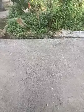 Snapshot of ind_hero chatting on October 31, 2025, 10:12 am ind hero online show from October 31, 2025, 10:12 am