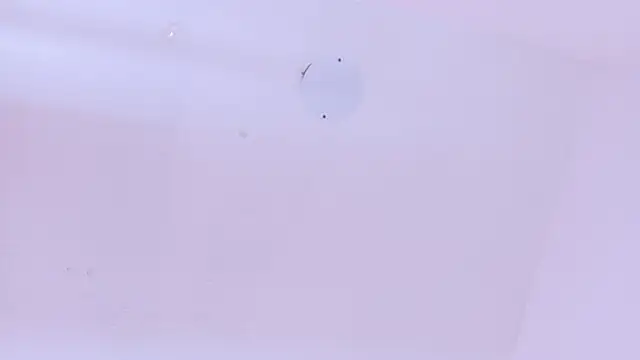 LoveQueen2 online show from March 20, 2026, 11:44 am