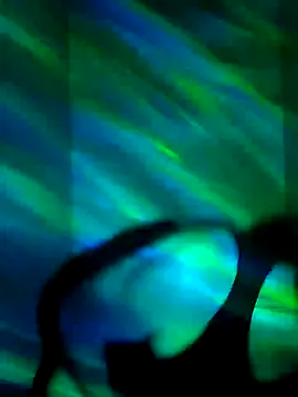 Snapshot of CloudyBoy_Toy chatting on January 14, 2025, 12:54 am CloudyBoy Toy online show from January 14, 2025, 12:54 am