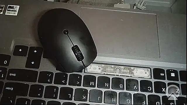 EXOTICLEXXXI online show from February 14, 2026, 3:23 pm