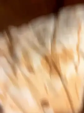 gigetto1977 online show from January 7, 2026, 2:33 pm