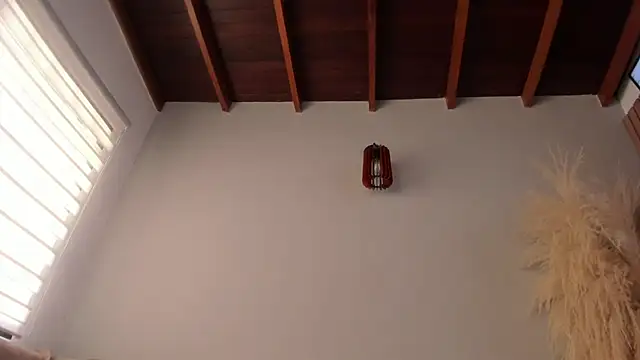 neo dimou  online show from September 24, 2025, 11:28 am