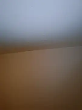 molozeb online show from December 19, 2025, 8:55 pm