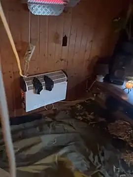 SexToyOnely online show from February 6, 2026, 7:37 am