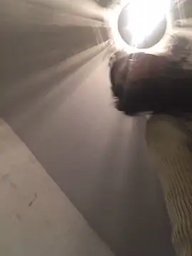 ChantalXOrchid online show from December 21, 2025, 5:58 pm