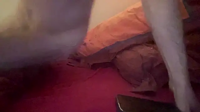 czsino online show from April 14, 2026, 2:27 am