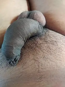 Dog546i online show from September 25, 2025, 9:48 am