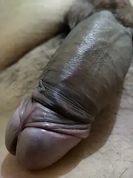 Dog546i online show from October 9, 2025, 5:13 pm