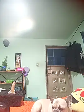 real fenix online show from September 13, 2025, 7:14 pm