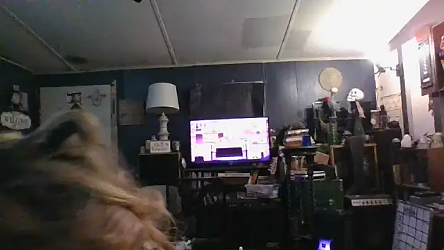 stormynight1 online show from October 12, 2025, 8:59 am