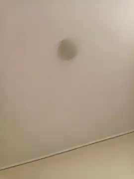 zafka 9 online show from April 17, 2026, 8:11 pm