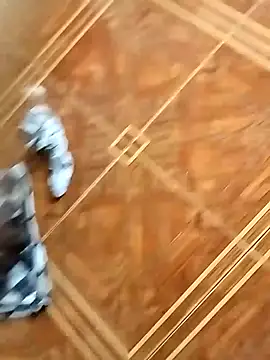 Snapshot of socrathes chatting on February 26, 2026, 12:27 pm socrathes online show from February 26, 2026, 12:27 pm