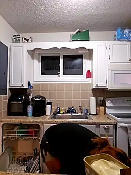 Dixiefaye Pika online show from February 27, 2025, 4:02 am