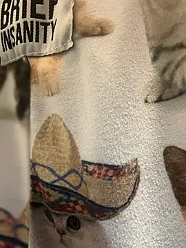 SexyB214 online show from November 15, 2025, 3:27 pm