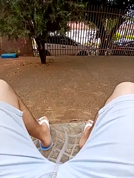 braza66 online show from February 22, 2026, 4:08 pm